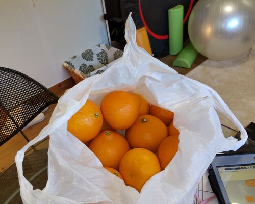 HORIZON_0001_BURST20221126141053956_COVER