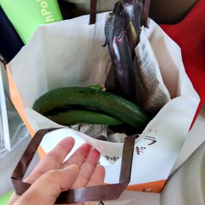 IMG_2025-08-05-12-47-29-298