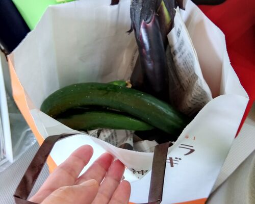 IMG_2025-08-05-12-47-29-298