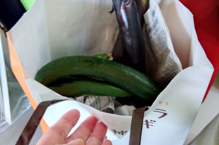 IMG_2025-08-05-12-47-29-298