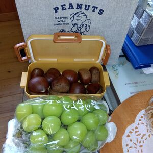 IMG_2025-09-22-15-44-04-373