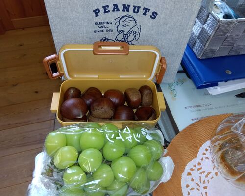 IMG_2025-09-22-15-44-04-373