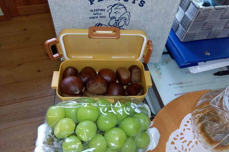 IMG_2025-09-22-15-44-04-373