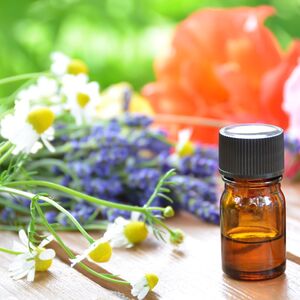 s-AdobeStock_33862823