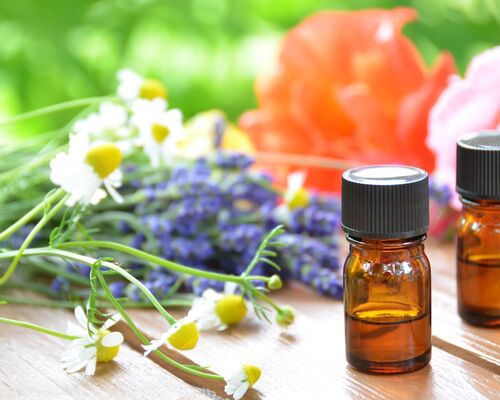 s-AdobeStock_33862823