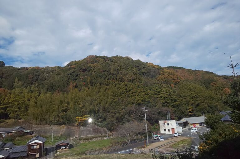 DSC_1489