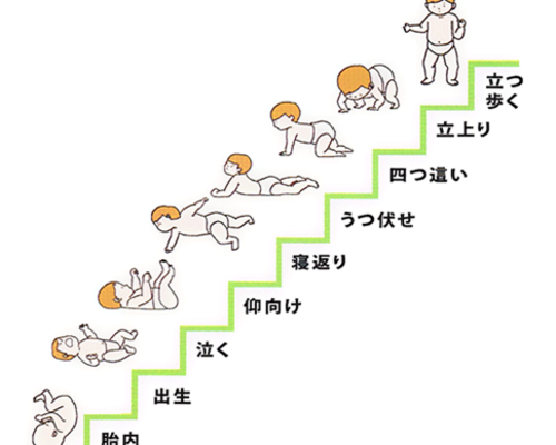 hatuiku