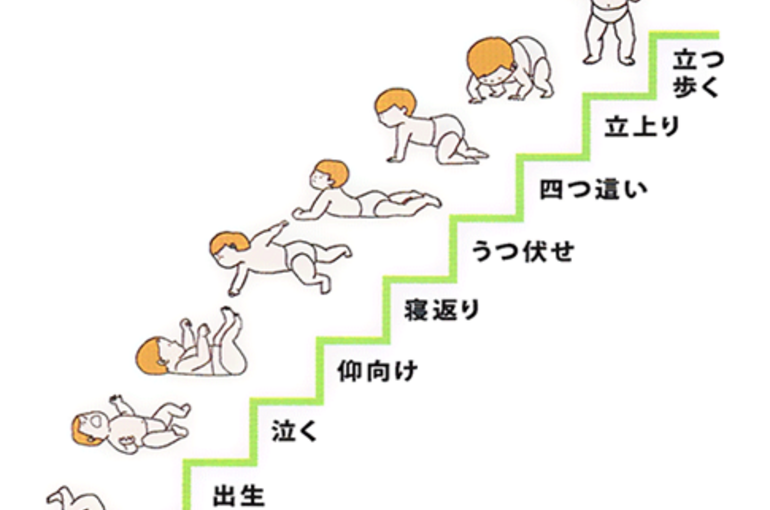 hatuiku