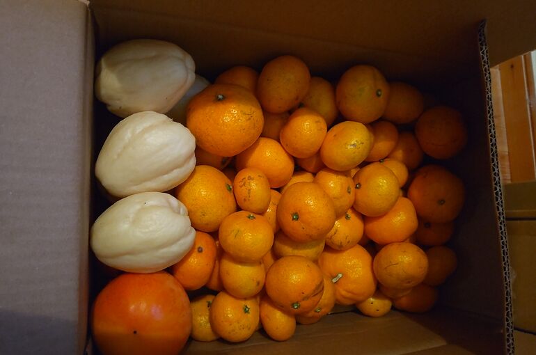 CENTER_0001_BURST20211118170418253_COVER